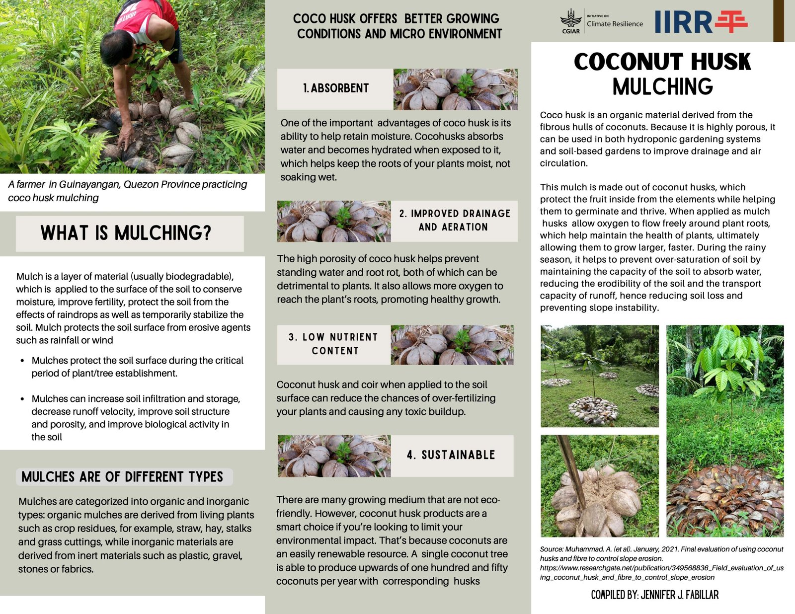 Coconut English Husks