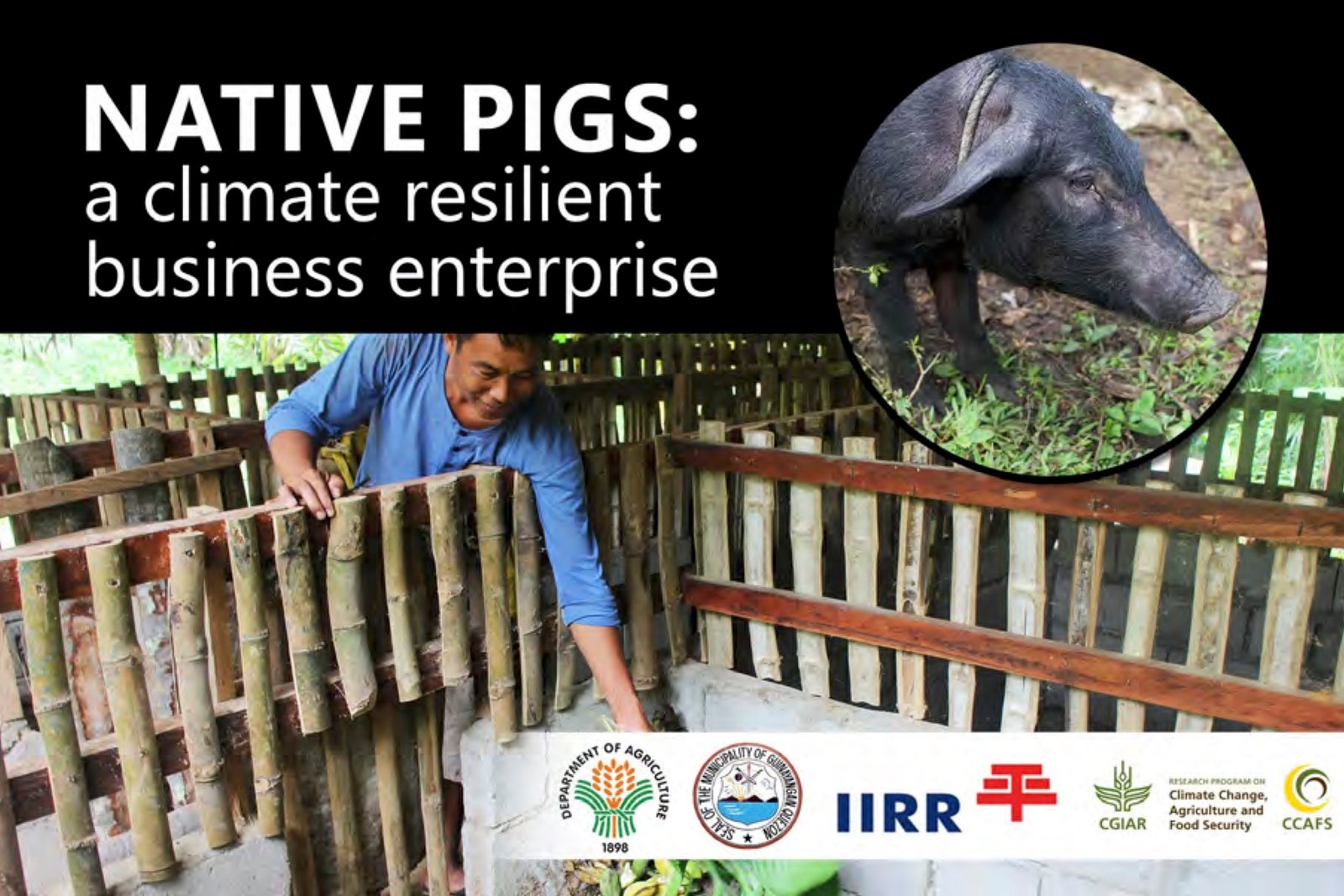 Date_ 2020-04-28 - NATIVE PIGS_ A CLIMATE RESILIENT BUSINESS ENTERPRISE