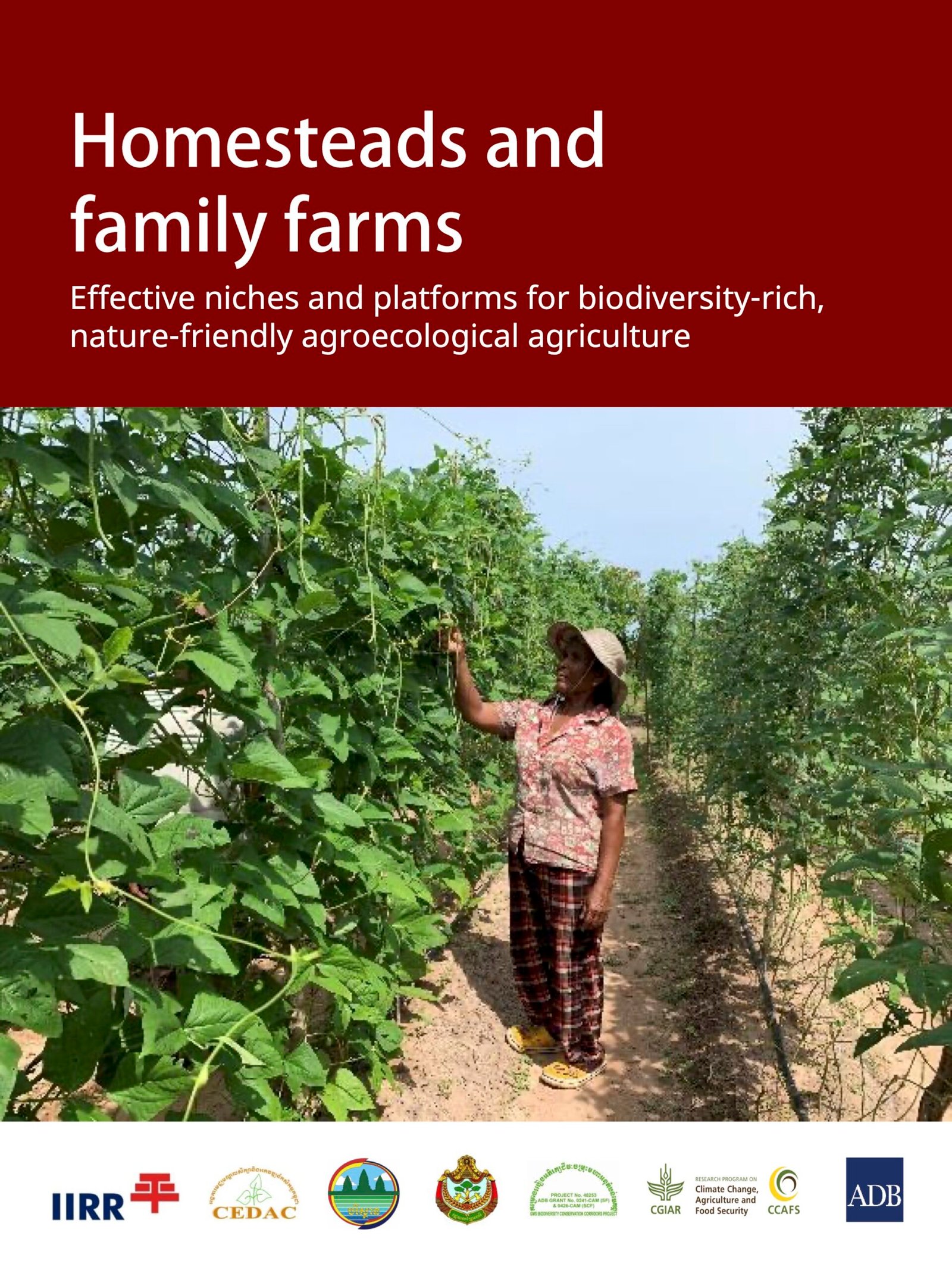 Date_ 2021-08 - HOMESTEADS AND FAMILY FARMS_ EFFECTIVE NICHES AND PLATFORMS FOR BIODIVERSITY-RICH, NATURE- FRIENDLY AGROECOLOGICAL AGRICULTURE