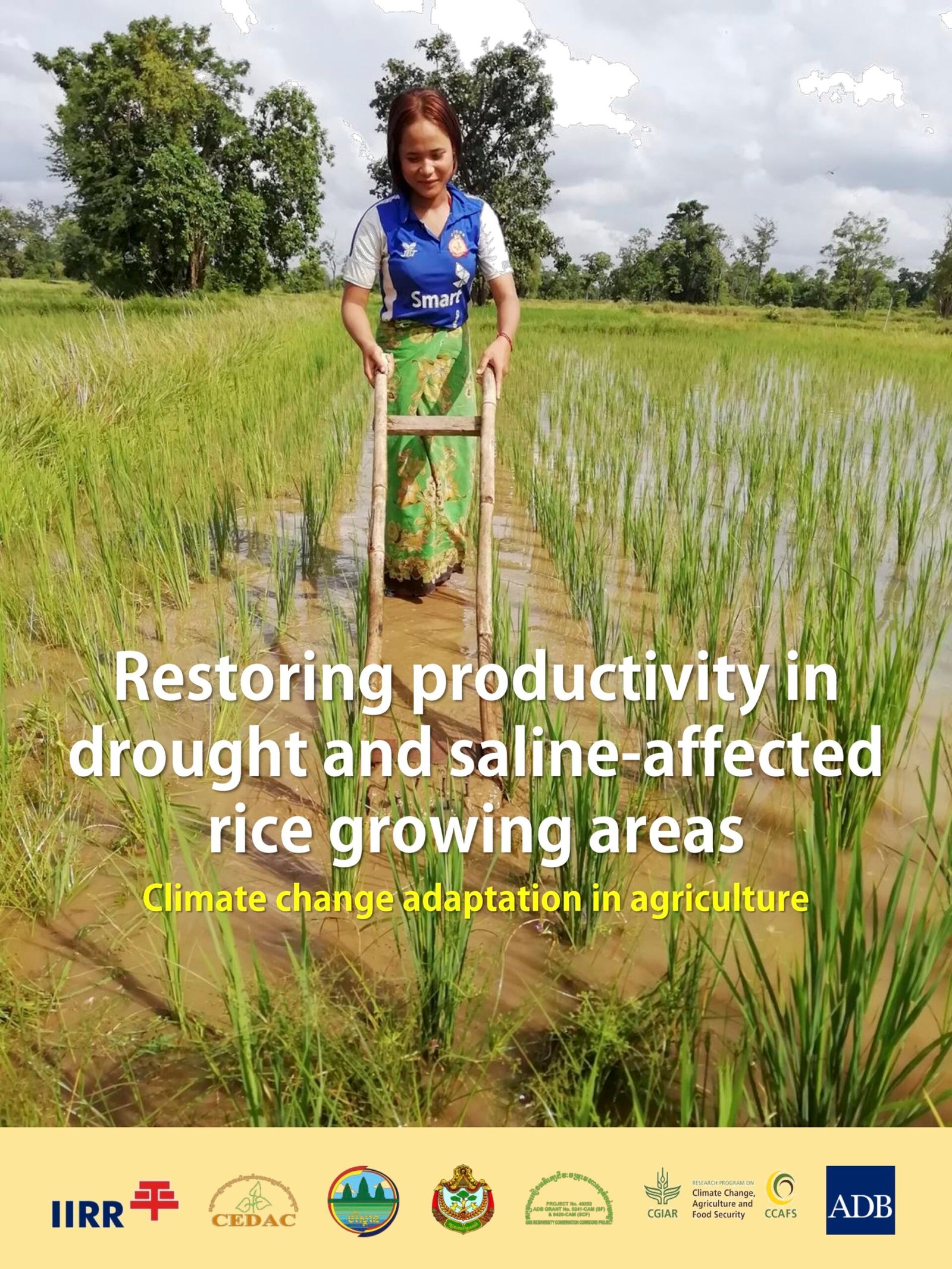 Date_ 2021-08 - RESTORING PRODUCTIVITY IN DROUGHT AND SALINE- AFFECTED RICE GROWING AREAS_ CLIMATE CHANGE ADAPTATION IN AGRICULTURE