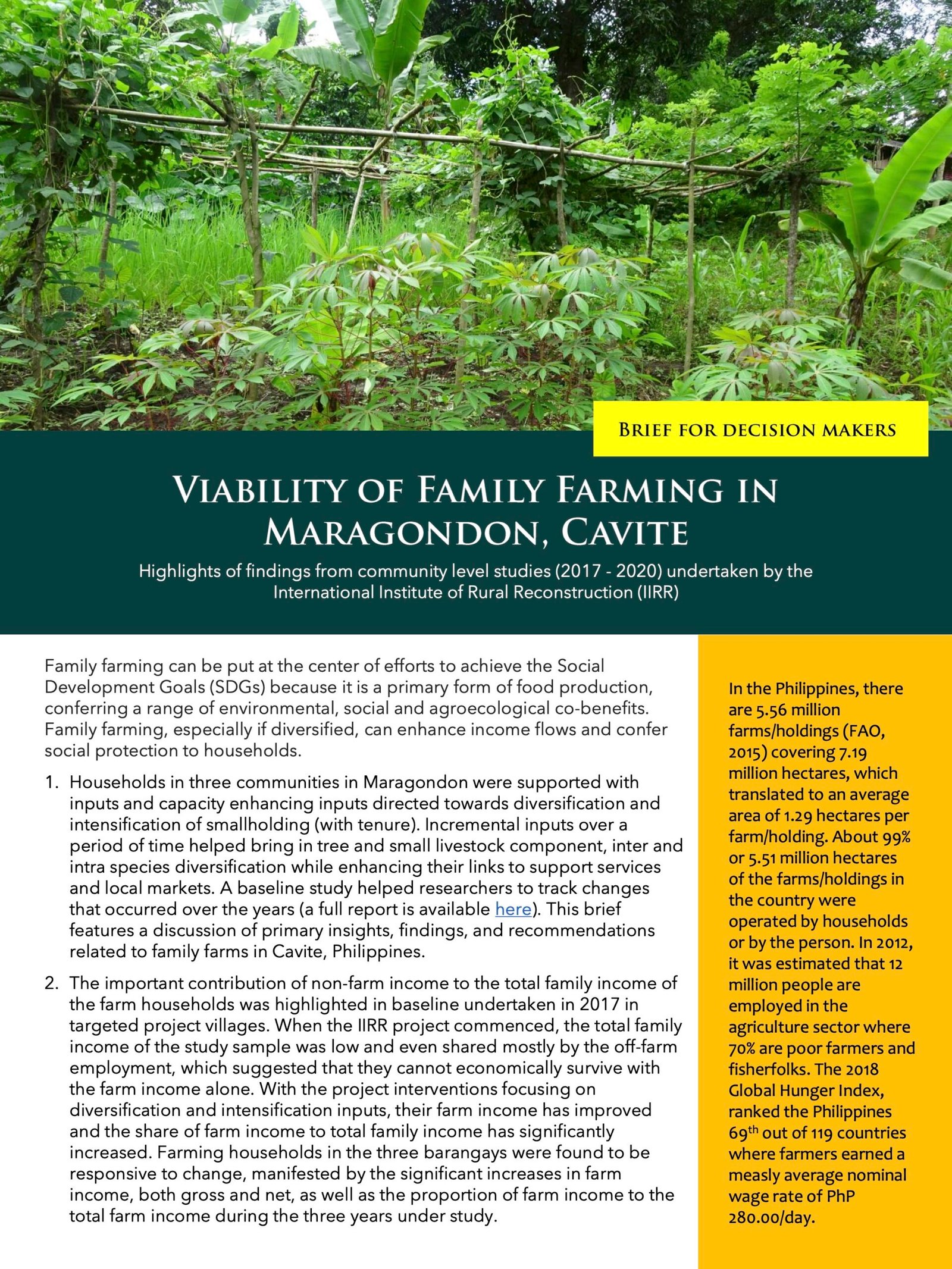 Date_ 2021 -Viability of family farming_brief for decision makers