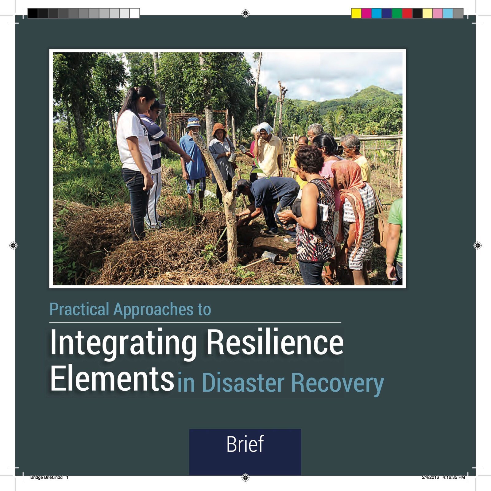 Date_2015-06 - -PRACTICAL APPROACHES TO INTEGRATING RESILIENCE ELEMENTS IN DISASTER RECOVERY_ BRIEF