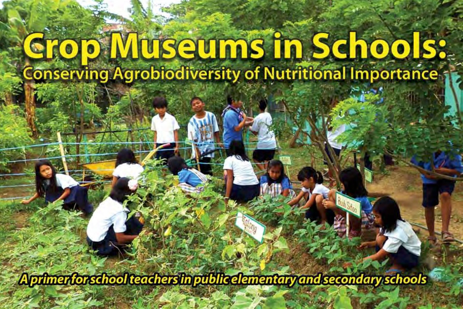 Date_2017-03 - CROP MUSEUMS IN SCHOOLS_ CONSERVING AGROBIODIVERSITY OF NUTRITIONAL IMPORTANCE