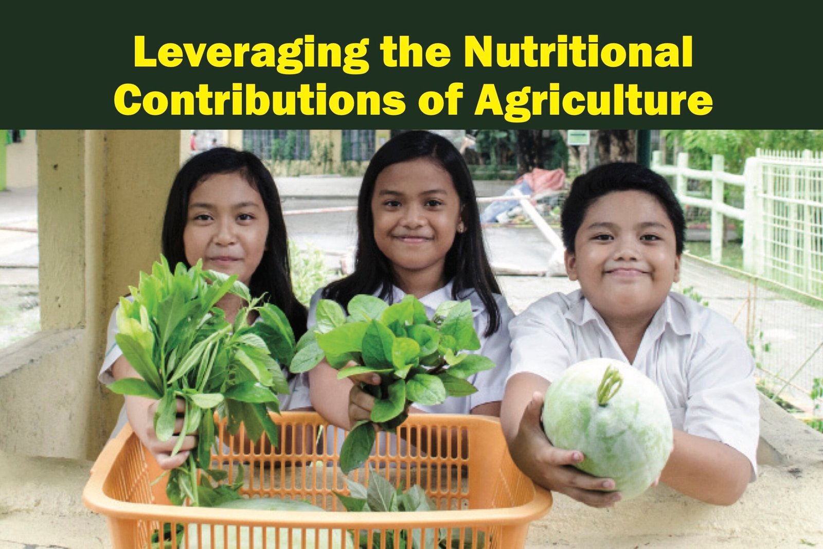 Date_2017-11-07 - LEVERAGING THE NUTRITIONAL CONTRIBUTIONS OF AGRICULTURE