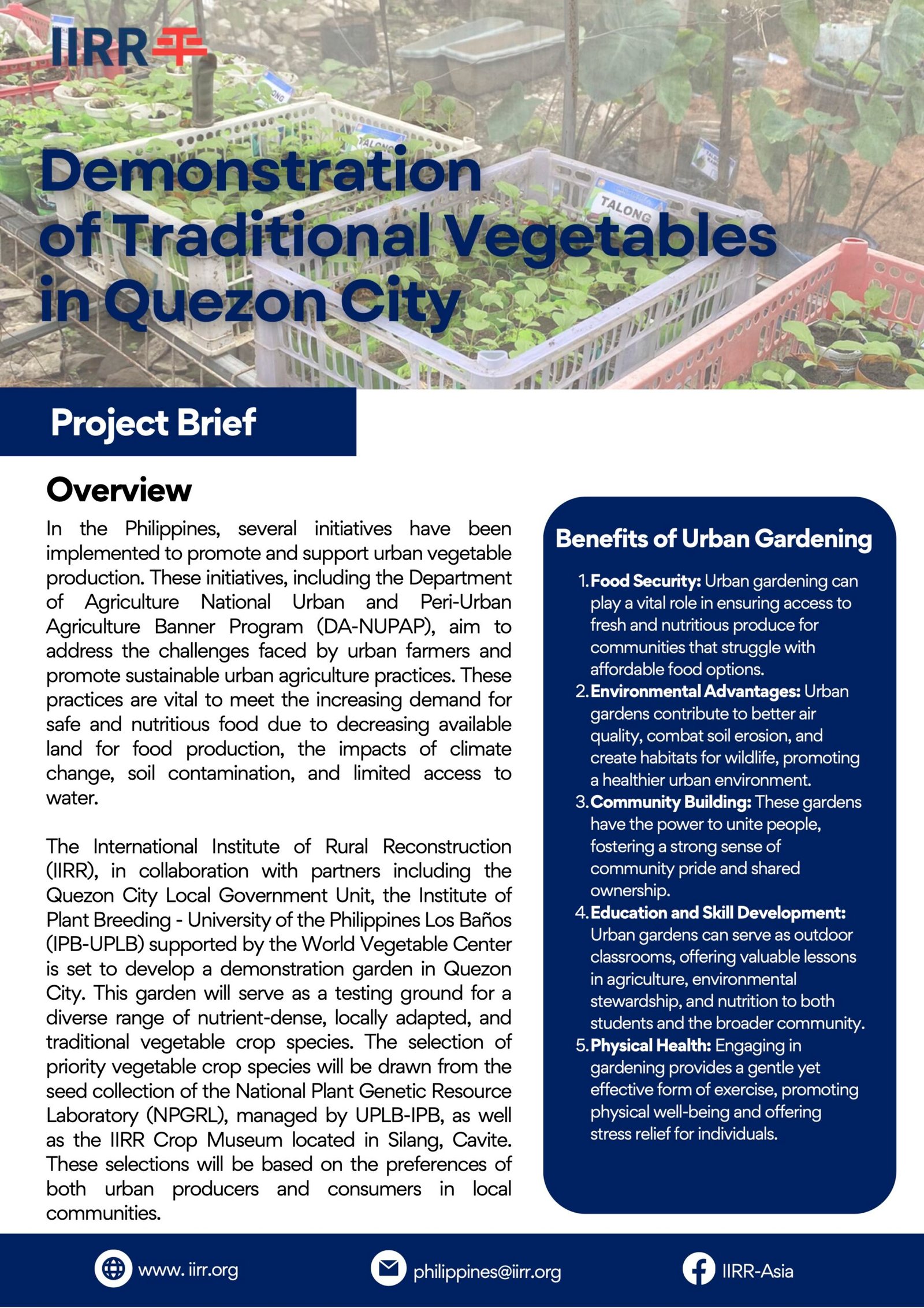 World Veg Project Brief