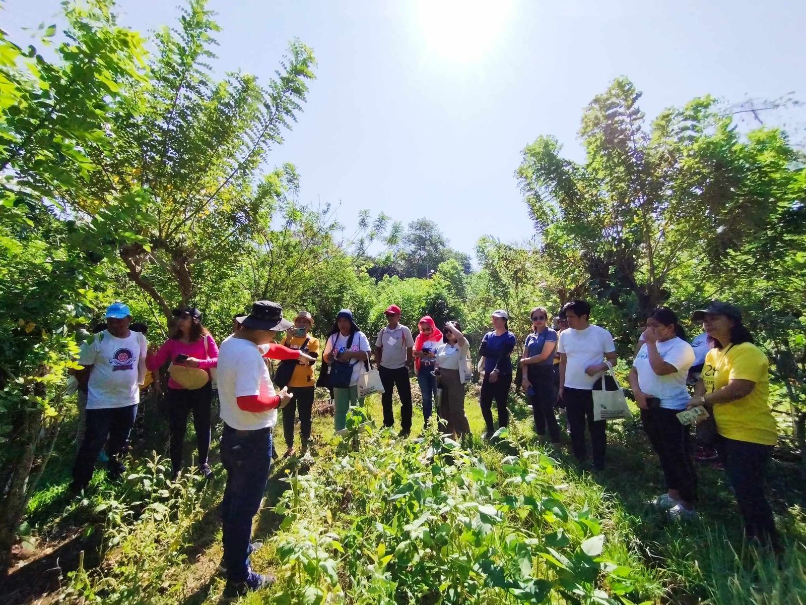 481672351_637796678983073_4294419899918427135_n